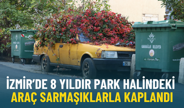 İzmir’de 8 yıldır park halindeki araç sarmaşıklarla kaplandı: Sahibi öldü, otomobil doğayla bütünleşti