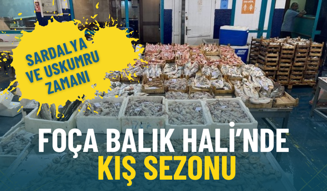 İzmir’de balık tezgahları canlandı: Palamut bu yıl yok, sardalya ve uskumru zamanı