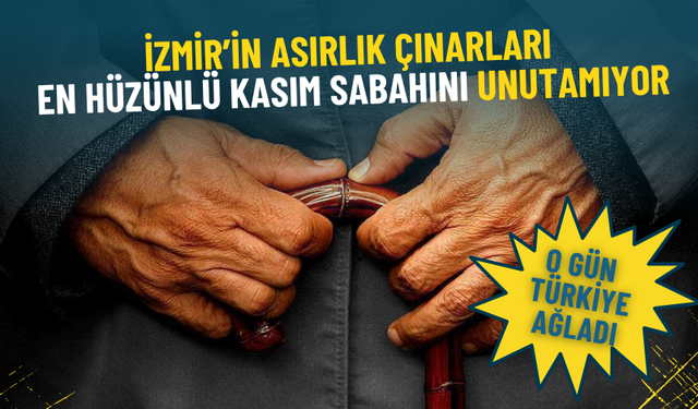 İzmir’in asırlık çınarları en hüzünlü kasım sabahını unutamıyor: O gün Türkiye ağladı