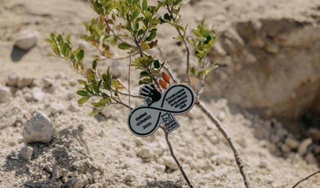 İzmir’de 411 fidan, binlerce adım, tek söz: İstanbul Sözleşmesi yaşatır