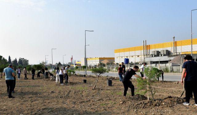 İzmir gençlerin eliyle yeşeriyor: Bornova’da 120 fıstık çamı toprakla buluştu