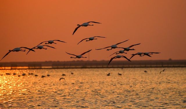 Ne Bodrum ne Marmaris: İşte İzmir'in birbirinden eşsiz gün batımı rotaları
