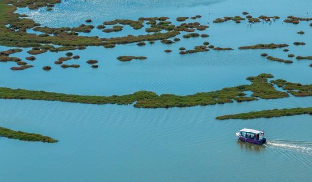 İZDENİZ’den doğa ve lezzet turları: İzmir’de kaçırılmayacak etkinliklere geri sayım başladı