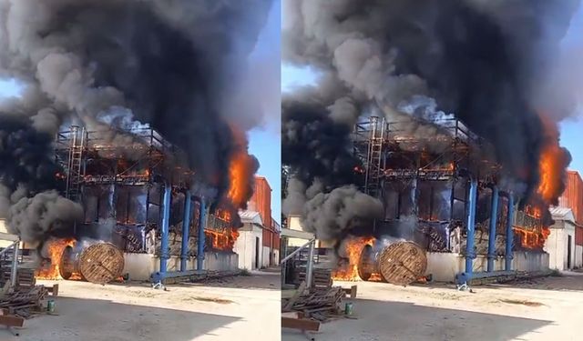 İzmir'de yangın alarmı: Salça fabrikasını alevler sardı