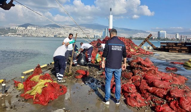 İzmir’de eş zamanlı denetim: 27 ton midye ele geçirildi