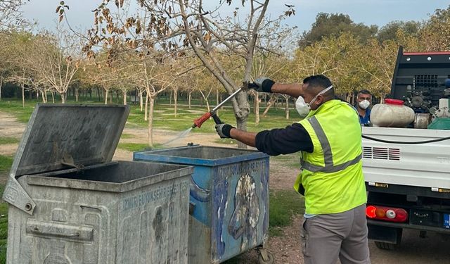 İzmir’de karasinekle yoğun mücadele