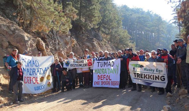 Balıkesir’de Limak’a ÇED onayı çıktı: 20 bin ağaç kesilecek!