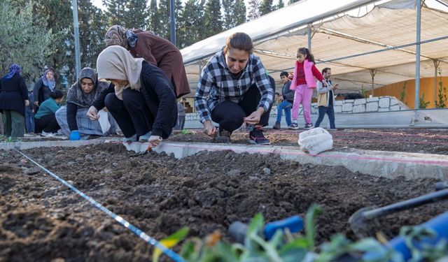 Mahalle bostanlarında kış dikimleri başladı: Kadınlar kendi hasadını üretiyor