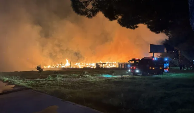 Menemen’de çöp depolama alanında yangın!