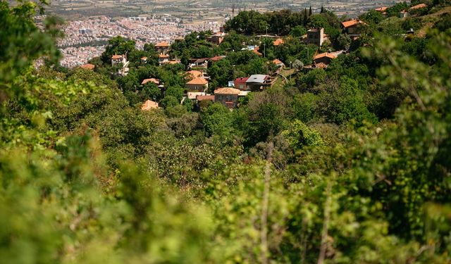 Ne Trabzon ne Rize: Karadeniz esintisi İzmir’in bu şirin köyünde!