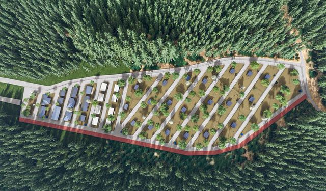 Kemalpaşa’da sokak hayvanları için yaşam alanı kuruluyor