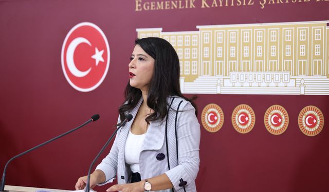 EMEP’li Karaca: İfade özgürlüğü keyfi biçimde engelleniyor