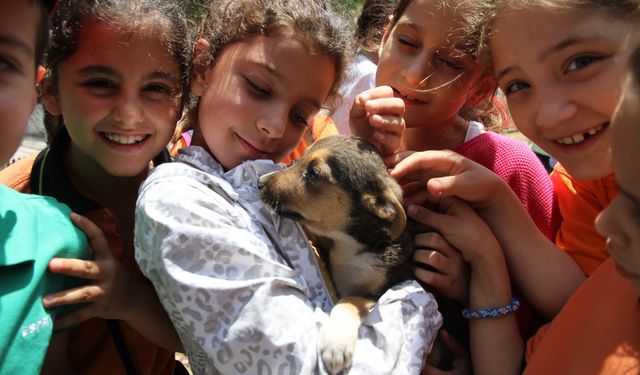 Karşıyaka’da 40 bin can dosta şefkat eli