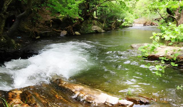 Asırlık çınarların gölgesinde hafta sonu kaçamağı: İzmir’in bu şirin köyü keşfedilmeyi bekliyor