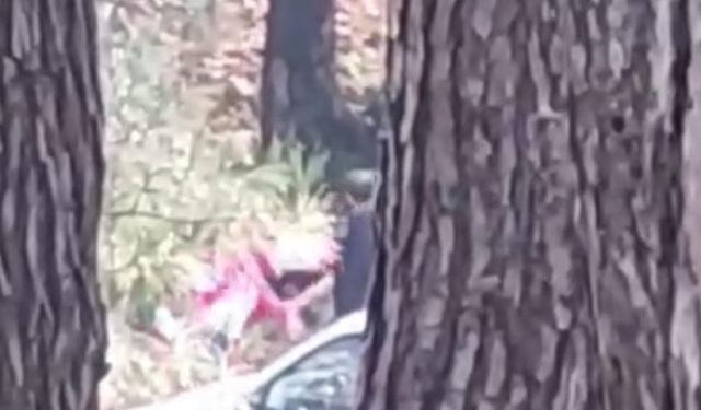 Buca’da ormanlık alanda kadına şiddet: Sosyal medyada tepki çeken görüntüler