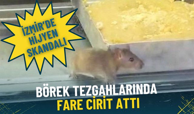 İzmir’de hijyen skandalı: Börek vitrini fareye yuva oldu, işletme mühürlendi