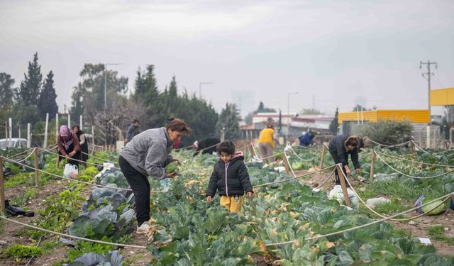 İzmir’in 3 mahallesine daha yeni bostan müjdesi: Yeni noktalar yolda