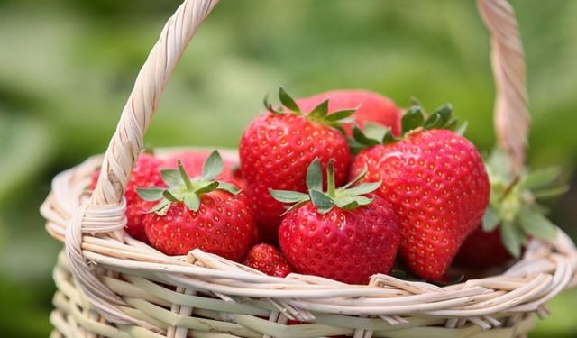 Kokusu ve aromasıyla biliniyor: İzmir’in lezzetinin ünü Avrupa’yı aştı