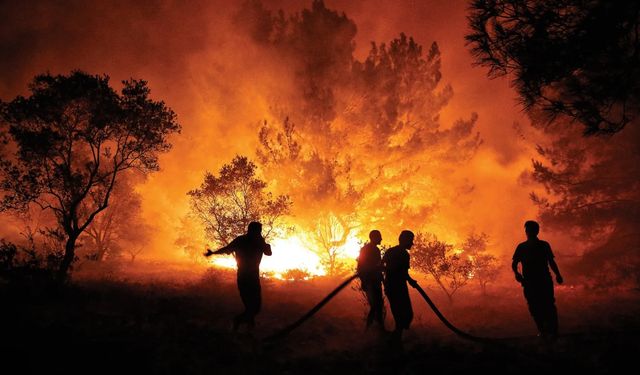 Bir yılda 459 nokta: Ege'nin ormanları alev alev yanmış!