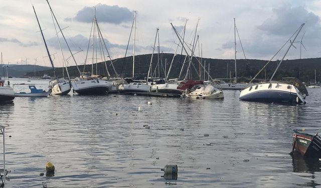 Teos Yat Limanı projesinde deprem ve tsunami riski: Yapılaşma olmamalı!