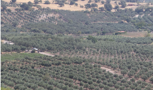 İzmir’de 49 yıllığına tahsis edilmişti: Bakanlık’tan 20 mahalleyi kapsayan projeye onay!
