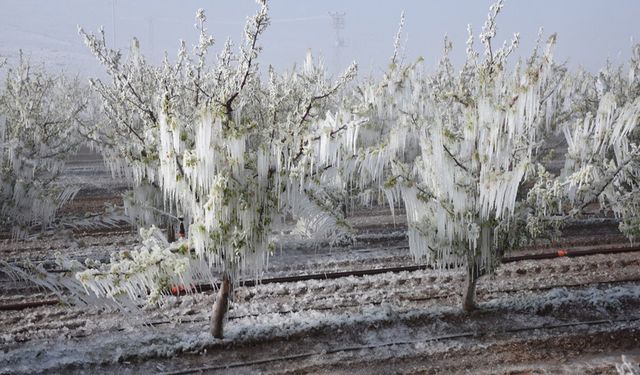 Türkiye’nin 2025 İklim Karnesi kırıklarla dolu!