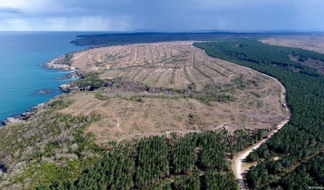Sinop Nükleer Santrali’ne yargı kalkanı: ÇED kararına karşı açılan dava reddedildi!