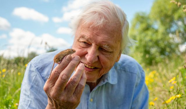 Elhamra Sahnesi’nde belgesel keyfi