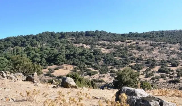 CHP’li Güç Yamanlar tartışmalarına değindi: Belediye başkanlarının basın üzerinden konuşmasını doğru bulmuyorum