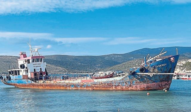Doğal sit alanı içinde gemi sökmüşlerdi: Bakanlıktan firmaya ceza