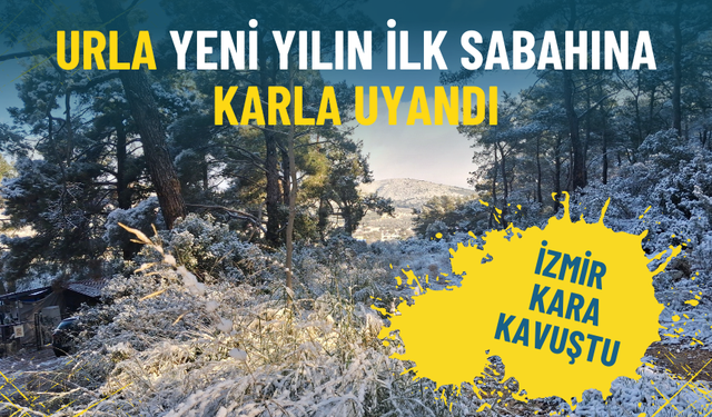 İzmir kara kavuştu: Urla yeni yılın ilk sabahına karla uyandı
