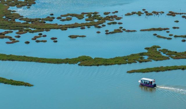 İzmir yarıyıl tatilinde doğa, kültür ve deniz keyfi: İZDENİZ turlarıyla flamingo gözleminden körfez gezilerine