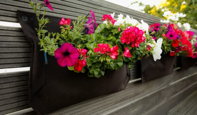 İzmir’e özgü çiçekler ve yetiştirme ipuçları