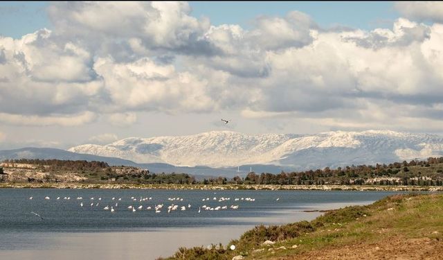 İzmir’in ortasında saklı bir ada: Leukai Antik Kenti’nin şaşırtıcı hikayesi