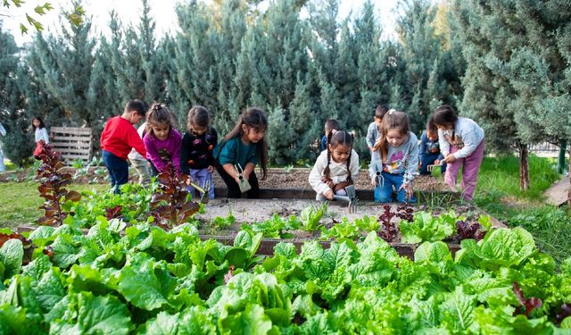 Çevre bilinci anaokulunda başlıyor: Karşıyaka Yeşil Bayrak yolunda