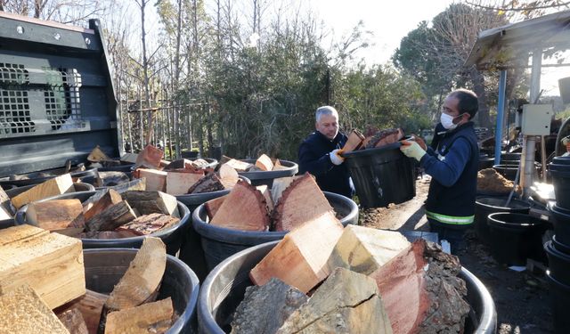 Konak'ta kış dayanışması: 250 aileye yakacak odun!