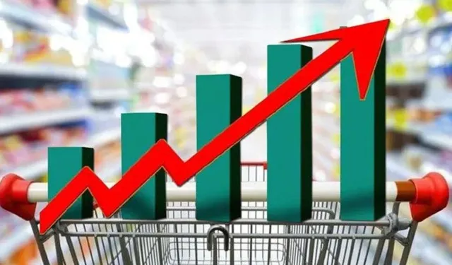 TÜİK 2025 Yaşam Memnuniyeti Araştırması: Hayat pahalılığı, yoksulluk, işsizlik...