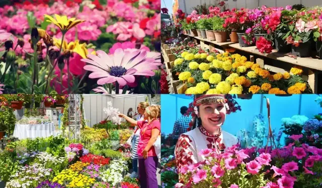 Doğa ve çiçek tutkunlarının dikkatine: Uluslararası festival için hazırlıklar başladı