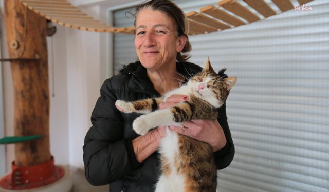 Dünya Kediler Günü’nde, Konak Belediyesi'nden Engelli Kedi Evi'ne ziyaret