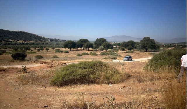 Zeytinlik alana sanayi tesisi projesine ÇED freni!