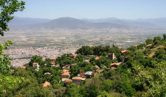İzmir’in karadut cenneti: Cambazlı Köyü