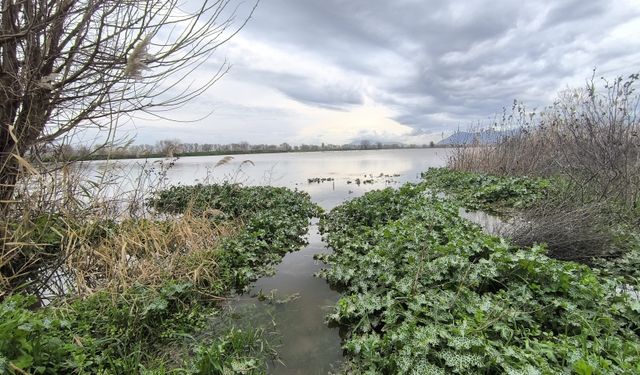 Aydın’daki sel mağduriyeti TBMM gündeminde: Araştırma Komisyonu kurulsun!