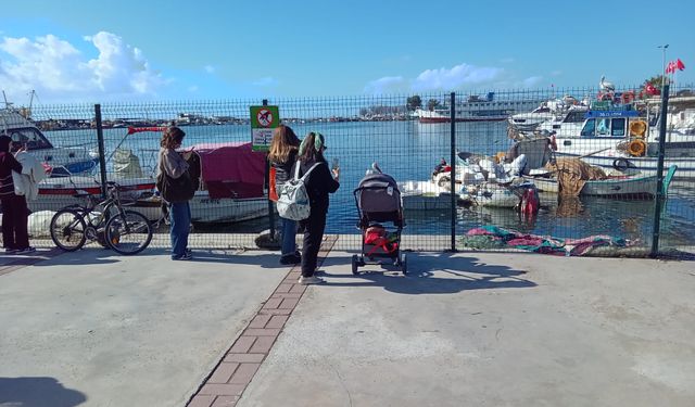 Karşıyaka’da günün yıldızları: Dev pelikanlar Churchıll’i sahiplendi