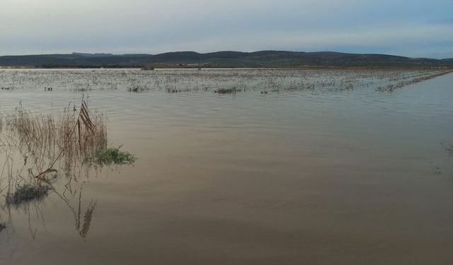 İzmir'in tarım ambarı sular altında: Hasat yok, fiyatlar artacak!