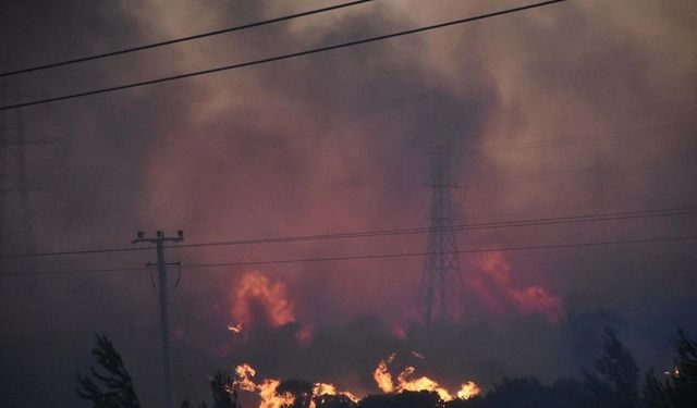 İzmir'de orman yangınlarına karşı denetim çağrısı: Elektrik dağıtımı kamulaştırılmalı
