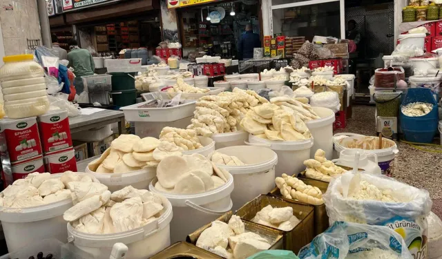 Peynir artık lüks oldu: Vatandaş alamıyor, esnaf satamıyor!