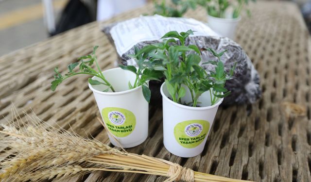 Selçuk yerel tohumlarını tüm Türkiye ile paylaşıyor