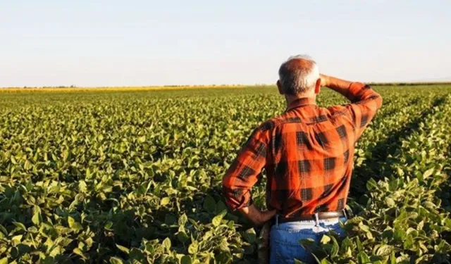 İzmir çiftçisi gelir elde edemiyor: Üretici zarar ediyor