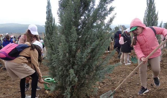 Orman Haftası: İzmir'de 100 bin fidan dikildi