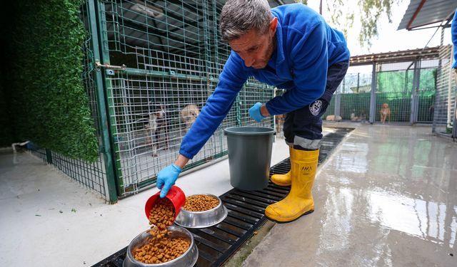 Buca'da can dostlara beş yıldızlı bakım